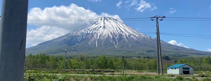 羊蹄山 is one of Tamakiさんのお気に入りスポット.