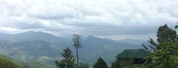 Madulkelle Tea & Eco Lodge is one of Waleed’s Liked Places.