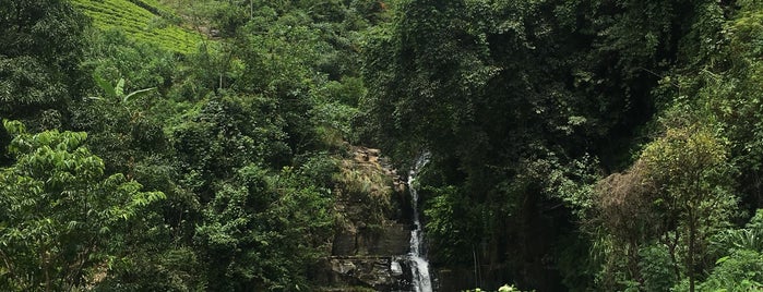 pussallawa waterfall is one of Waleed’s Liked Places.