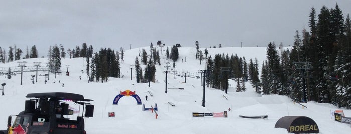 Boreal Mountain Resort is one of Riding Out California (Tahoe).