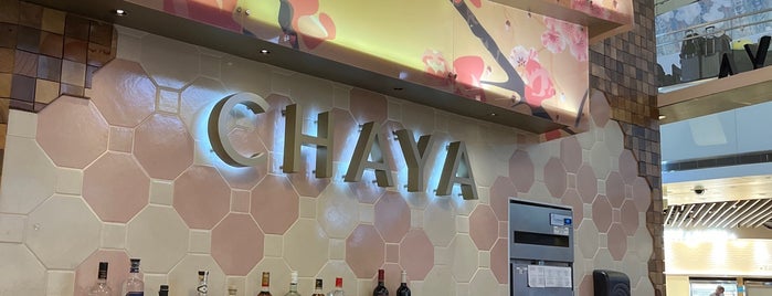 Chaya is one of Boas experiencias internacionais.