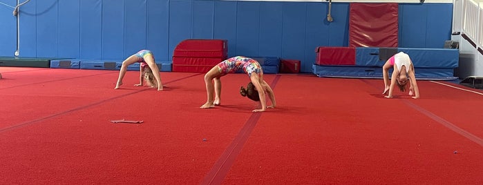 Chapel Hill Gymnastics is one of Playtime.