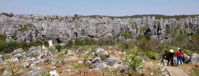 Stone Forest is one of Best of China.