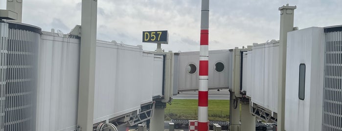 Gate D57 is one of Schiphol gates.