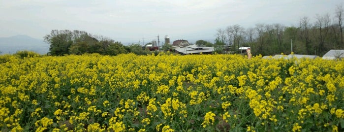 鼻高展望花の丘 is one of Z33さんの保存済みスポット.