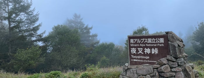 夜叉神峠 is one of 山と高原.