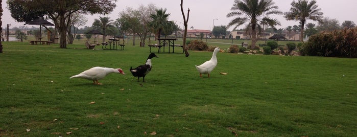 Duck Pond is one of Khobar.