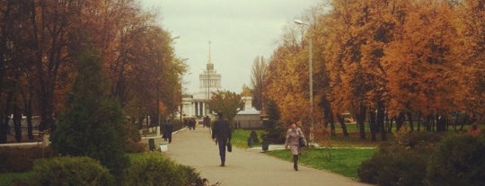 Факультет психології КНУ ім. Т. Шевченка is one of สถานที่ที่ Annie ถูกใจ.