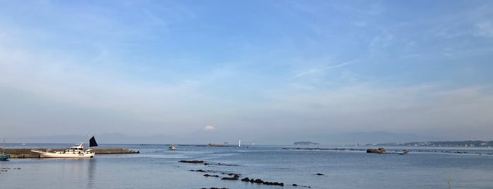 真名瀬海岸 is one of 東京界隈の綺麗げな浜🏖.