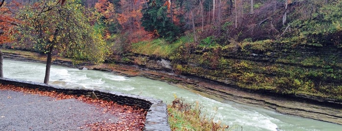 Genesee Falls is one of BEST OF: Waterfalls.