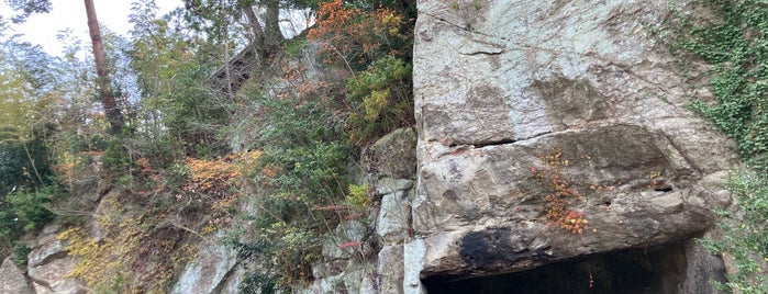 瑞厳寺洞窟遺跡群 is one of 宮城.