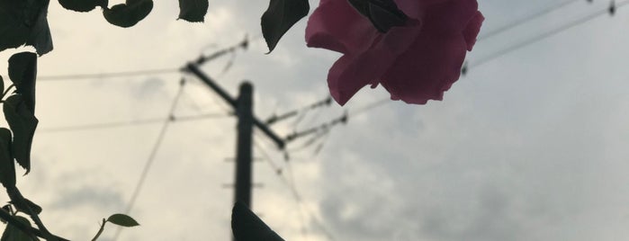 安曇野スーパー