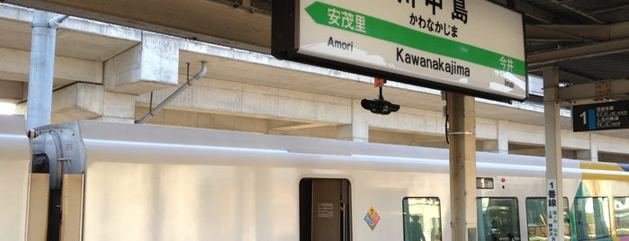 Kawanakajima Station is one of 東日本・北日本の貨物取扱駅.