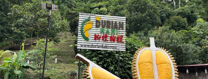 Cap Kaki Durian is one of PENANG.