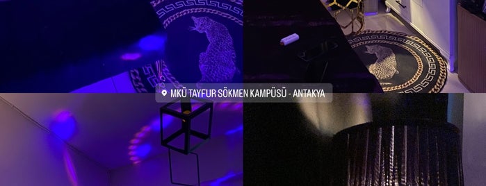 Mustafa Kemal Üniversitesi is one of Ben Yeni Bmw Türkiye Araba Alacam 2015.