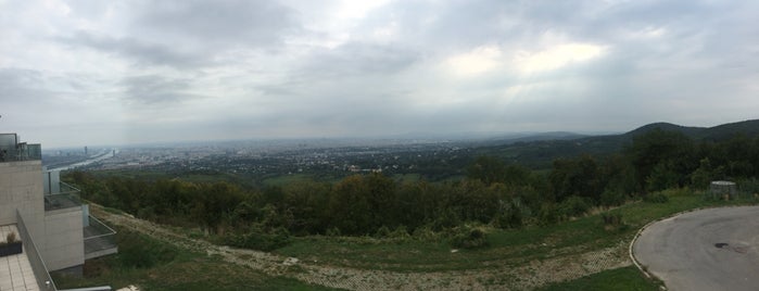 Kahlenberg is one of Vienna.