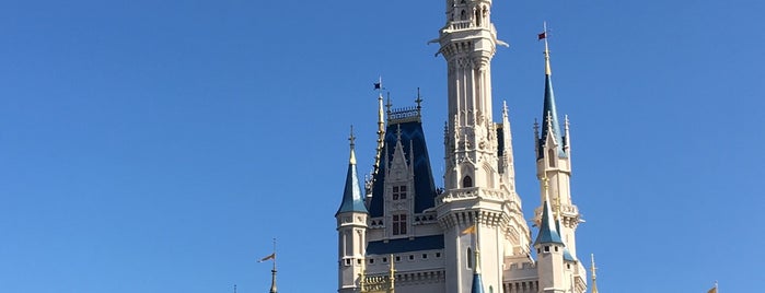 Cinderella Castle is one of สถานที่ที่ Lorena ถูกใจ.