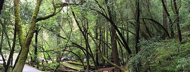 Armstrong Redwoods State Natural Reserve is one of A Weekend Away in Sonoma.