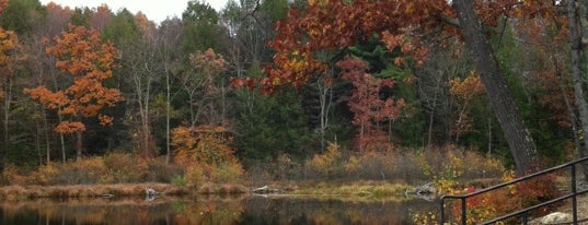 Puffer's Pond is one of Amherst area.