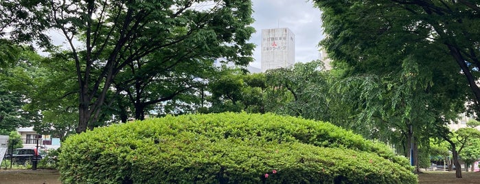 中央公園 is one of Parks.