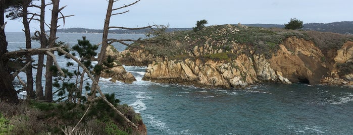 Point Lobos State Reserve is one of Nichole'nin Kaydettiği Mekanlar.