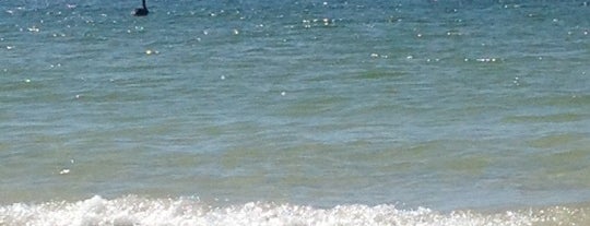 Pelican Landing Beach is one of Michael : понравившиеся места.