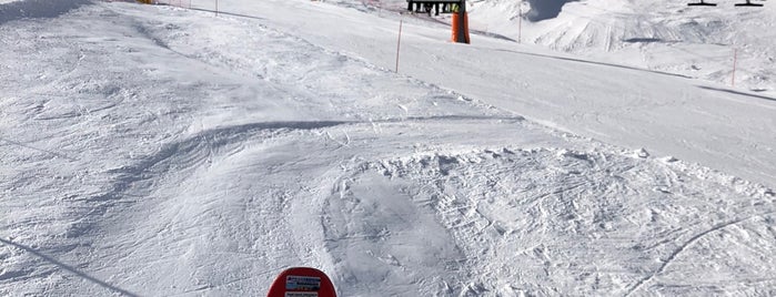 Ski Area Belvedere/Canazei is one of Val Gardena Ski Lifts & Areas.