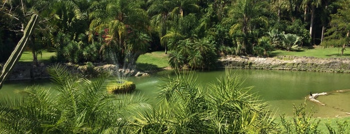Pinecrest Gardens is one of Miami.