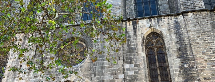 Basílica de Santa Maria del Pi is one of Esteve'nin Beğendiği Mekanlar.