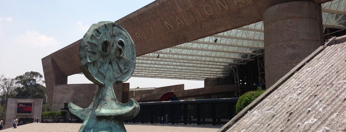 Auditorio Nacional is one of Locais curtidos por Alejandra.