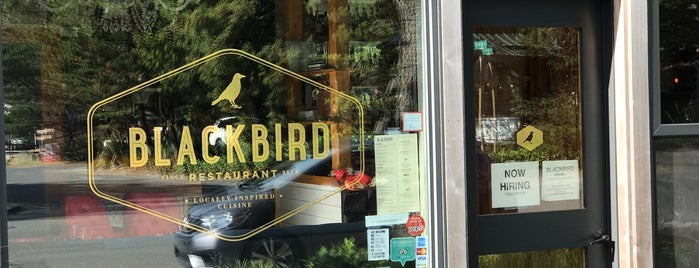 Blackbird is one of Leigh's Saved Places.