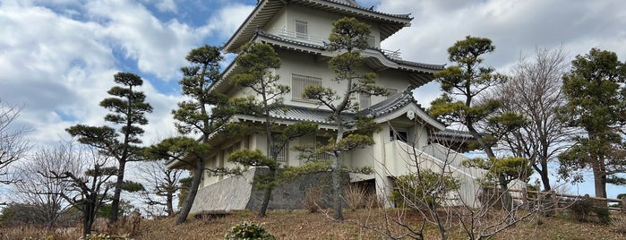 Kisai Castle is one of VisitSpotL+ Ver9.