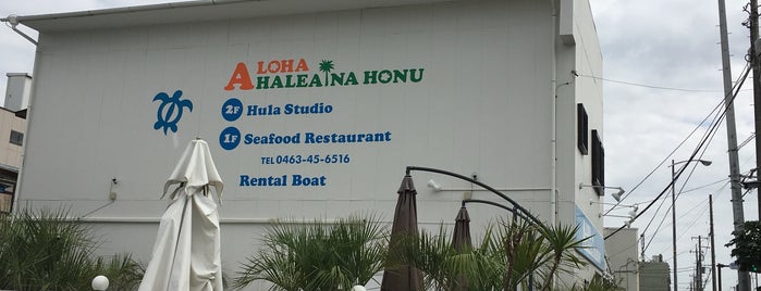 ALOHA HALEAINA HONU is one of 食べてみたい秦野から1時間.