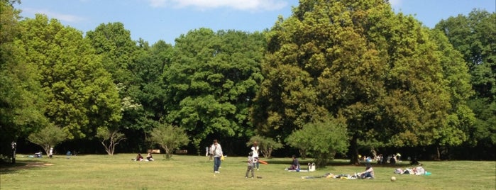 Higashi Takane Forest Park is one of 神奈川県立都市公園一覧.