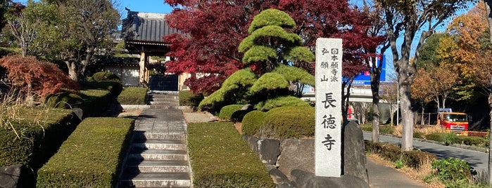 長徳寺 is one of 舎得.