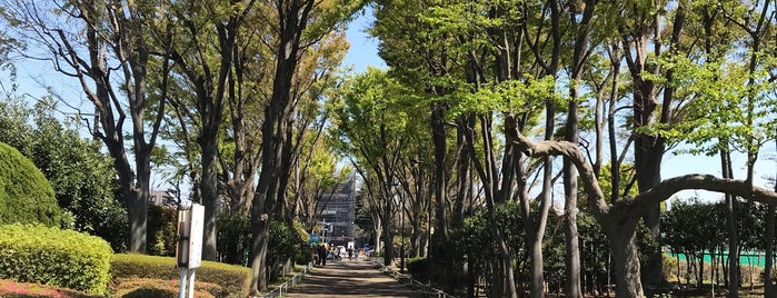 玉川野毛町公園 is one of Park,Temple　etc.