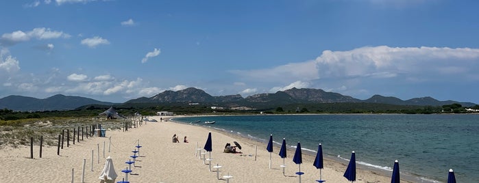 The Saline Beach is one of Sardegna.