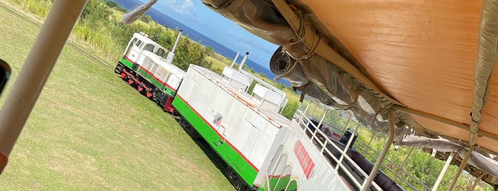 St. Kitts Scenic Railway is one of St Kitts & Nevis.