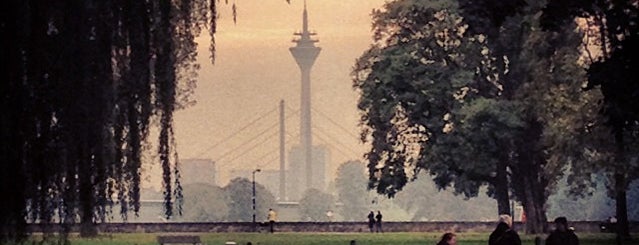 Rheinpark is one of Düsseldorf.