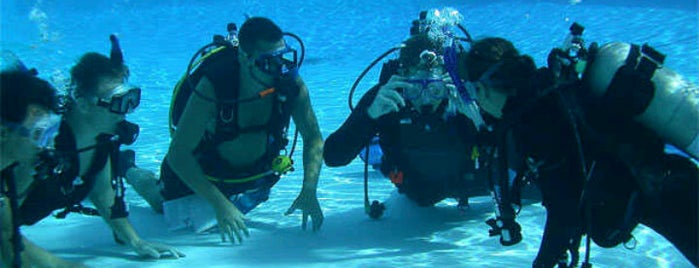 Do Adventures Dive Center is one of สถานที่ที่ Febrina ถูกใจ.