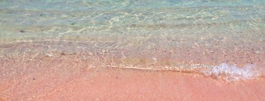 Pink Beach is one of Komodo National Park.