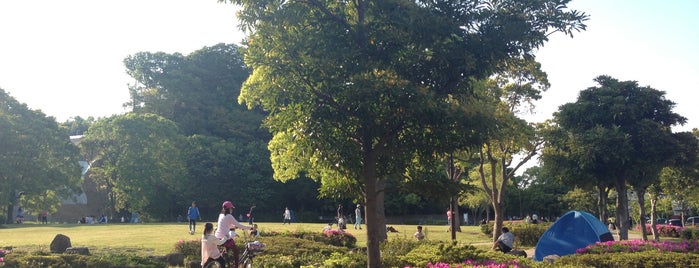 富岡総合公園 is one of 神奈川散歩.