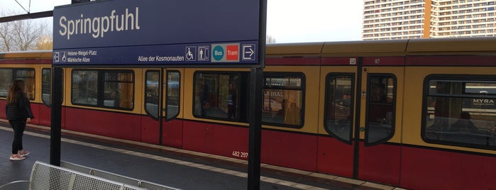 S Springpfuhl is one of Berlin tram line 18.