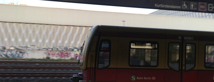 S Halensee is one of Berliner S-Bahn.