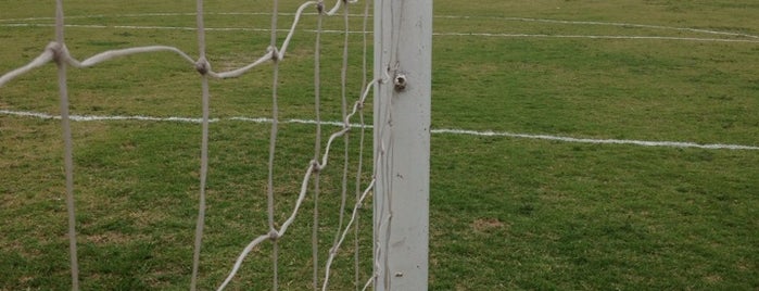 Estádio Municipal Emília Rosa Guimarães is one of Estádios RJ.