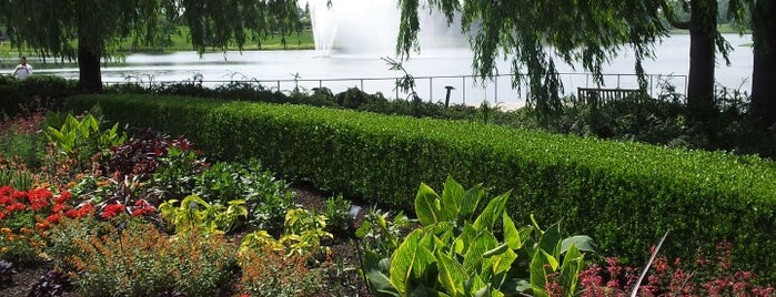 Chicago Botanic Garden is one of 100 days of summer 💛☀️⭐️.