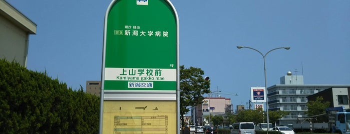 Kamiyama-gakkō-mae Bus Stop is one of 新潟交通 S10 市民病院線（新潟大学病院－県庁－新潟市民病院）.