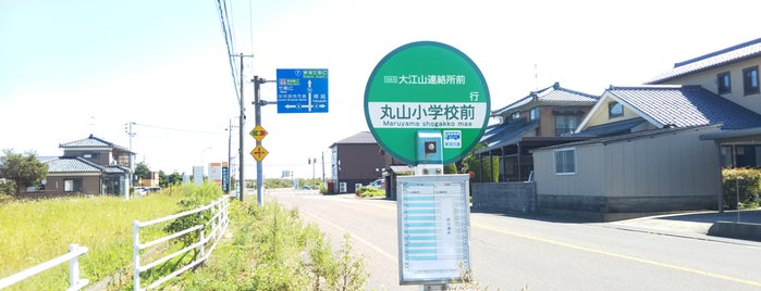 丸山小学校前 バス停留所 is one of 新潟交通 S63 長潟線（新潟駅南口－鵜ノ子－大江山連絡所）.