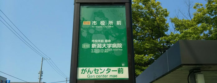 がんセンター前バス停 is one of 新潟交通 S10 市民病院線（新潟大学病院－県庁－新潟市民病院）.