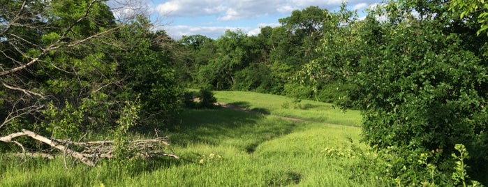 Arbor Hills Nature Preserve is one of Tempat yang Disukai Nina.